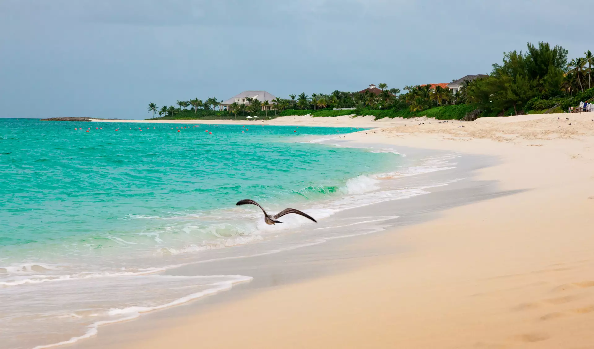 The Ocean Club, A Four Seasons Resort, Bahamas