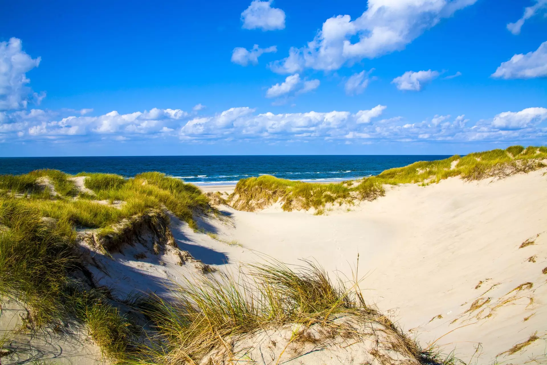 Accommodations & Travel Denmark