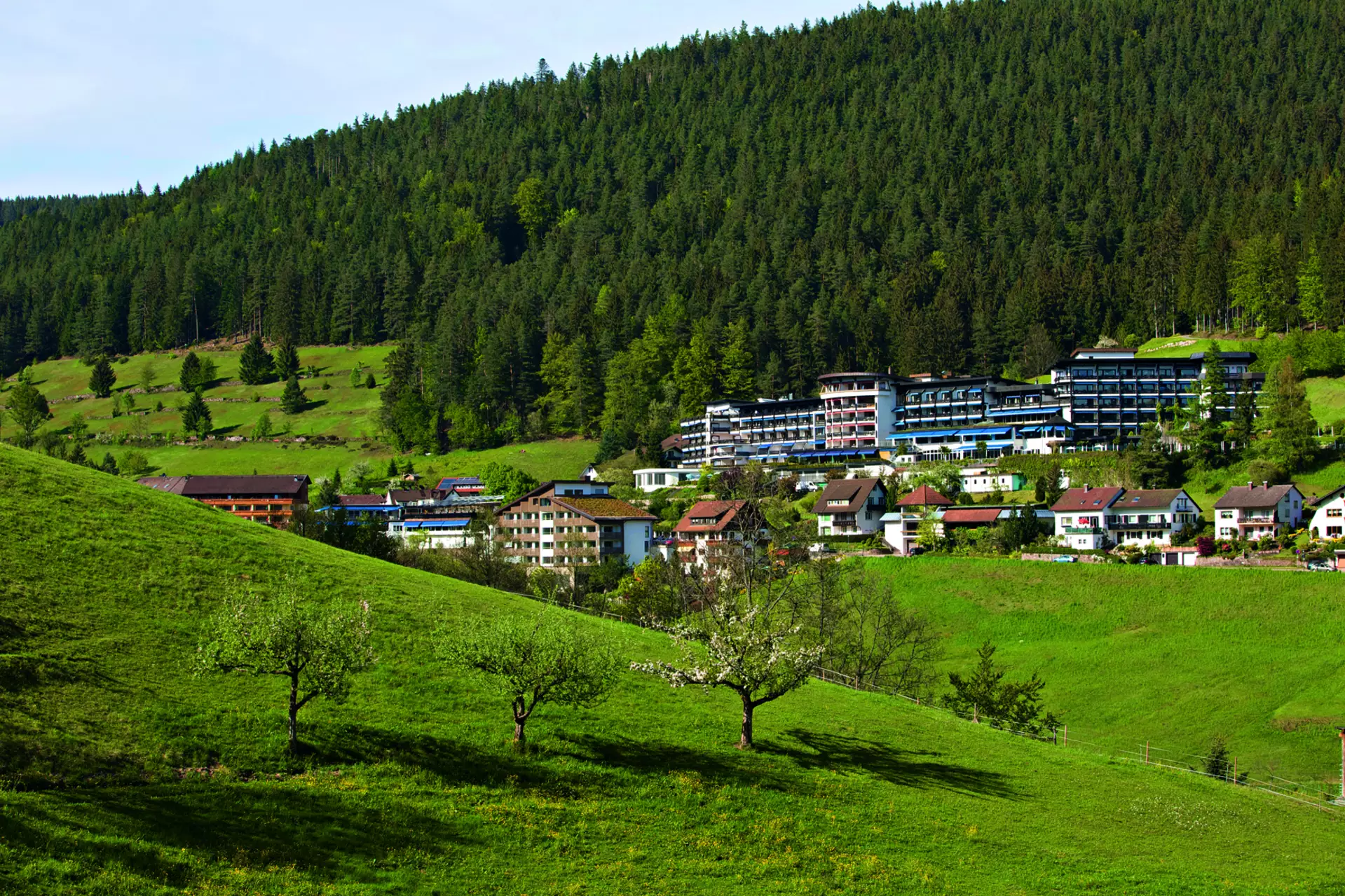 Traube Tonbach