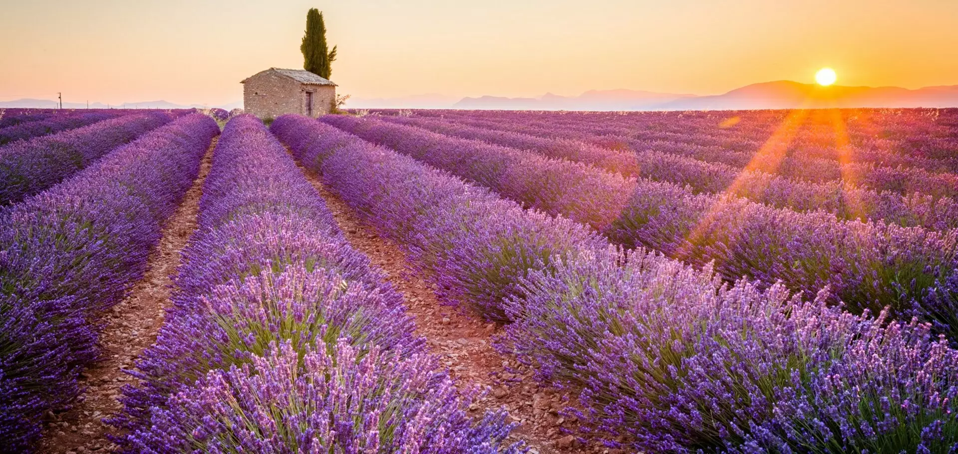 Eine Reise in die Natur der Düfte / Côte d'Azur