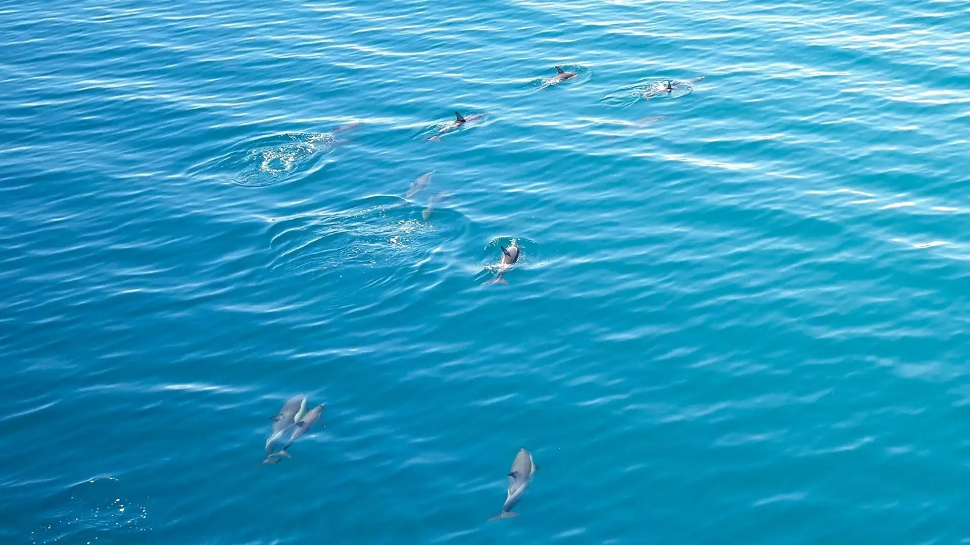 Elivi Skiathos