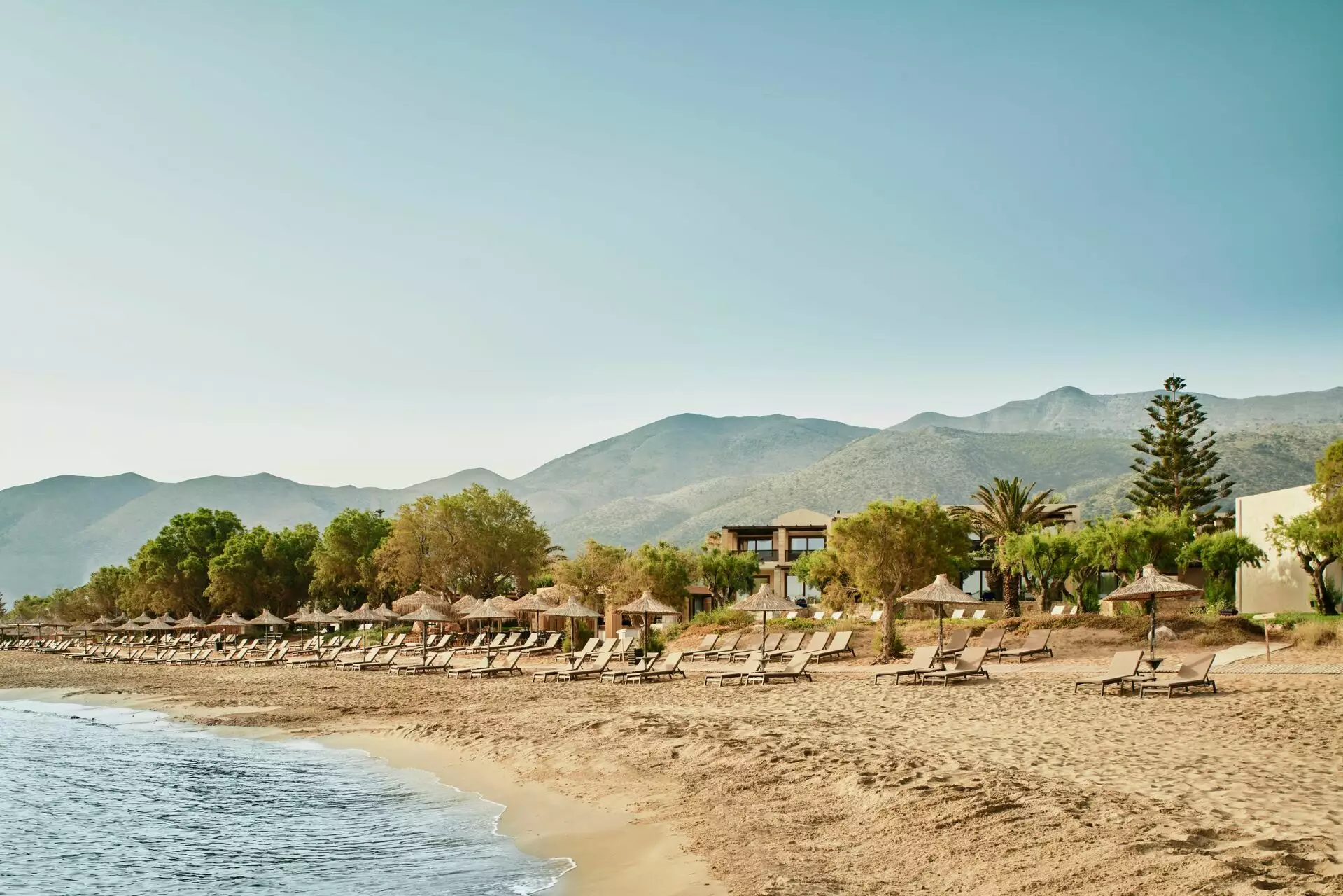 Phaea Cretan Malia, a member of Design Hotels