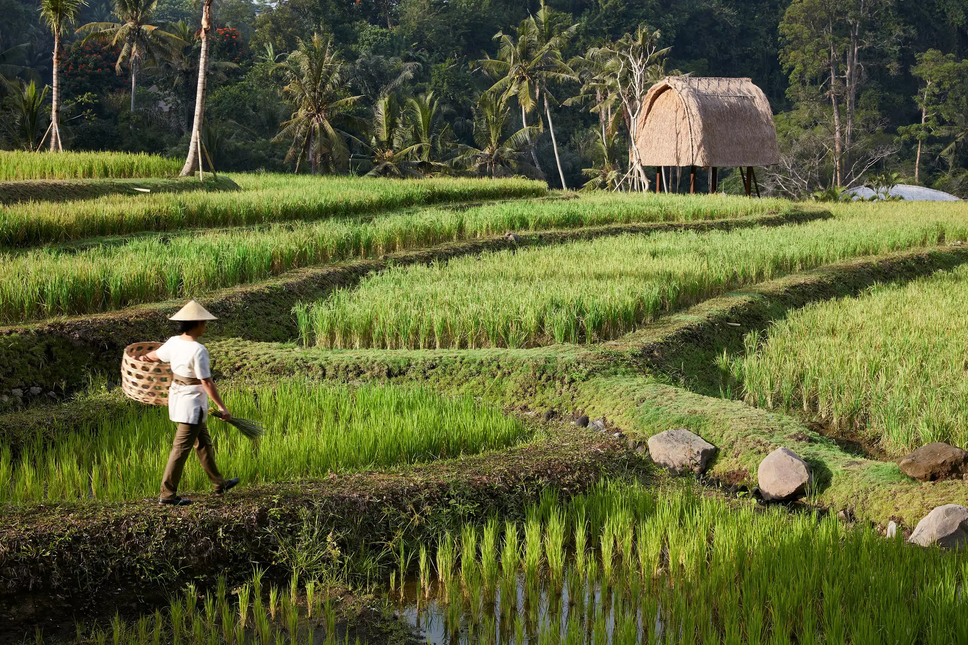 Mandapa, A Ritz-Carlton Reserve