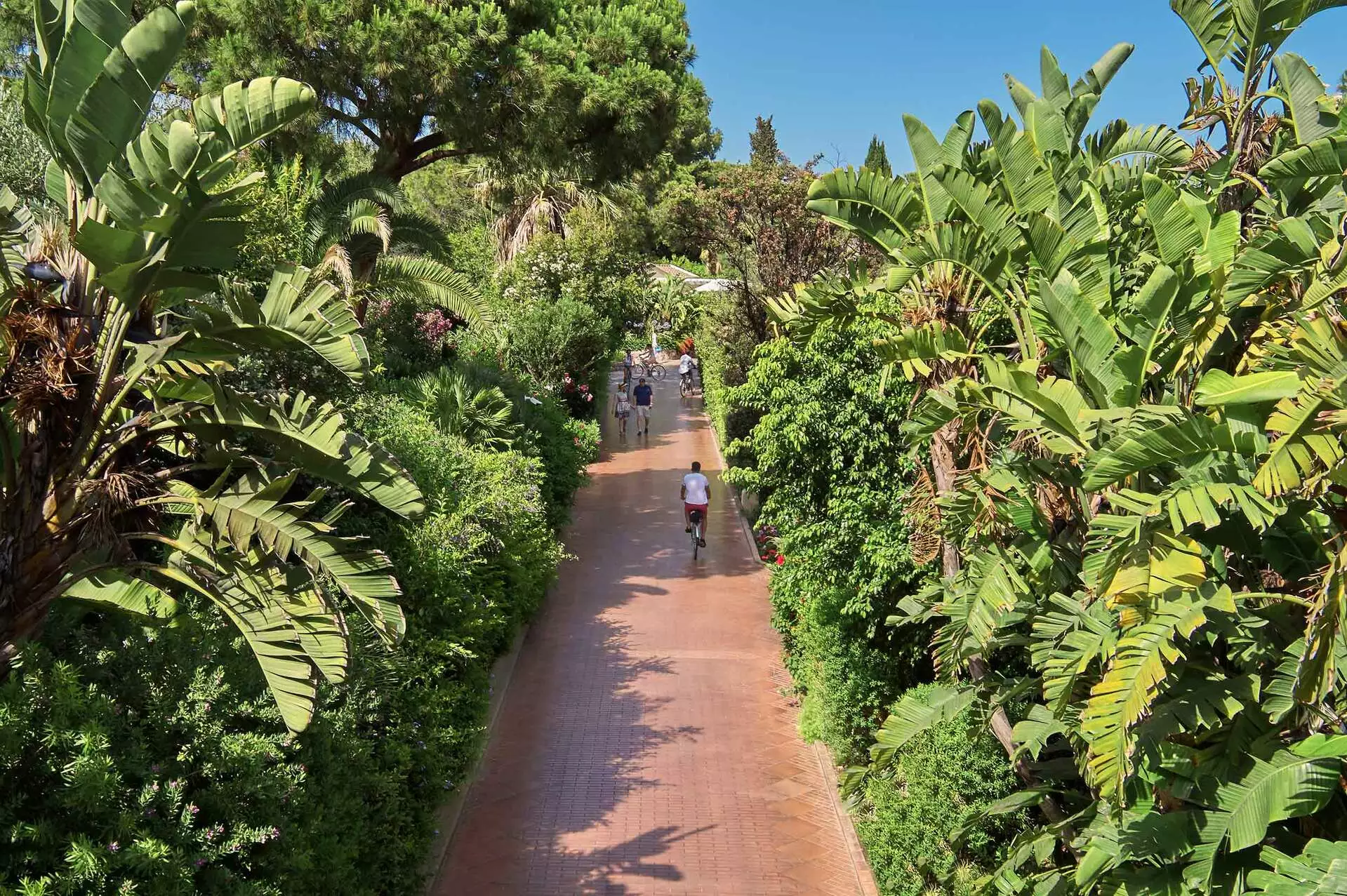 Le Palme / Forte Village