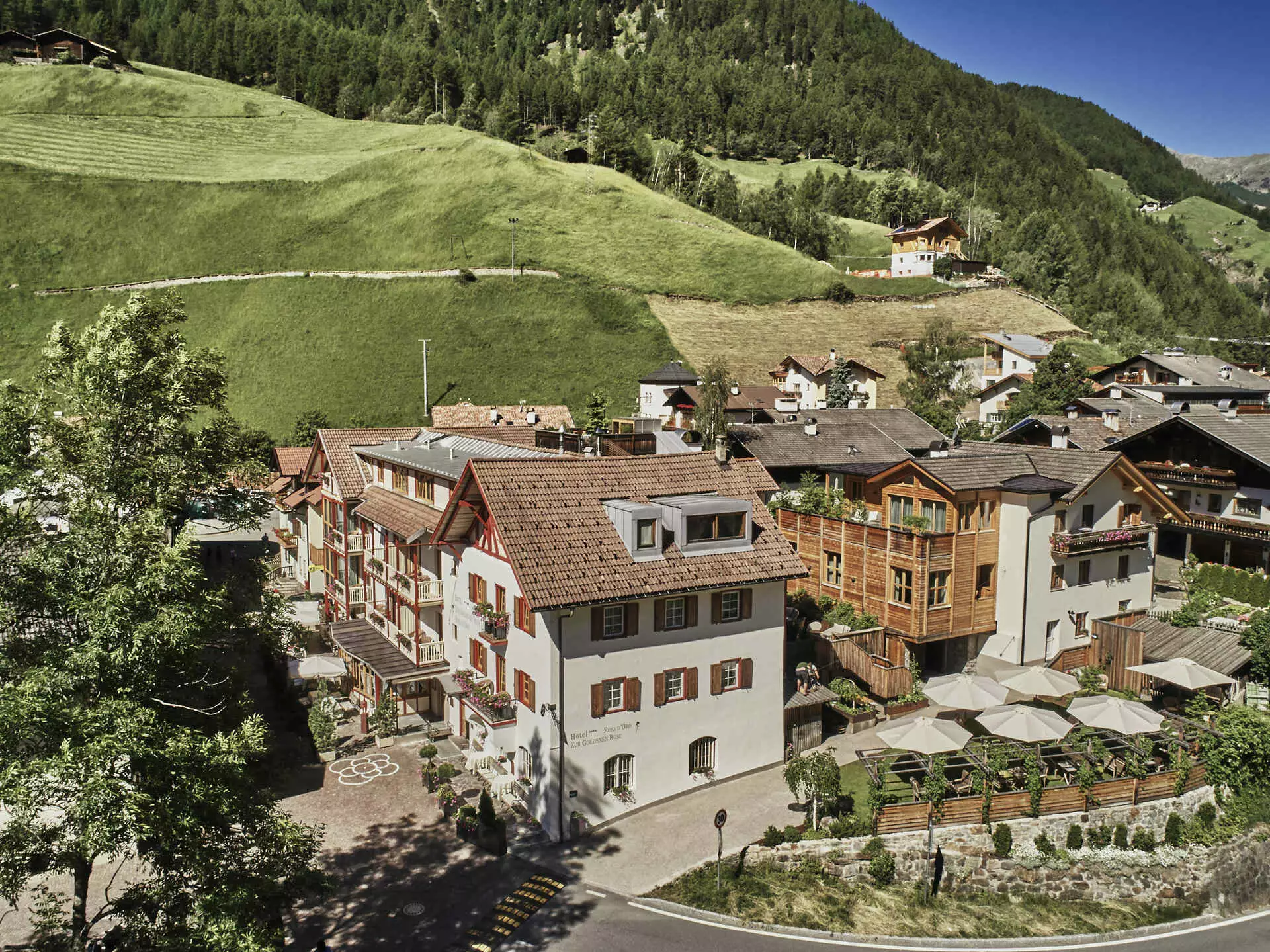 Goldene Rose Karthaus
