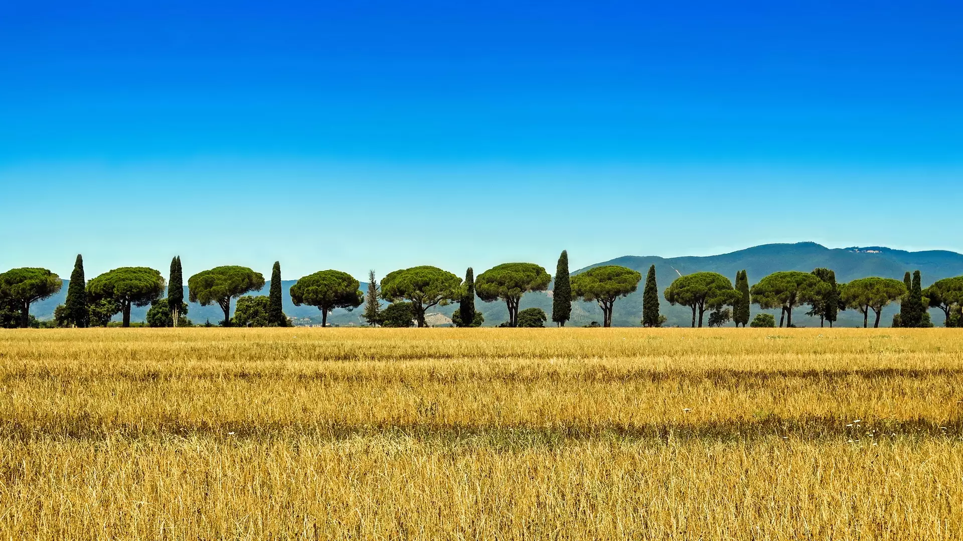 Accommodations & Travel Italy