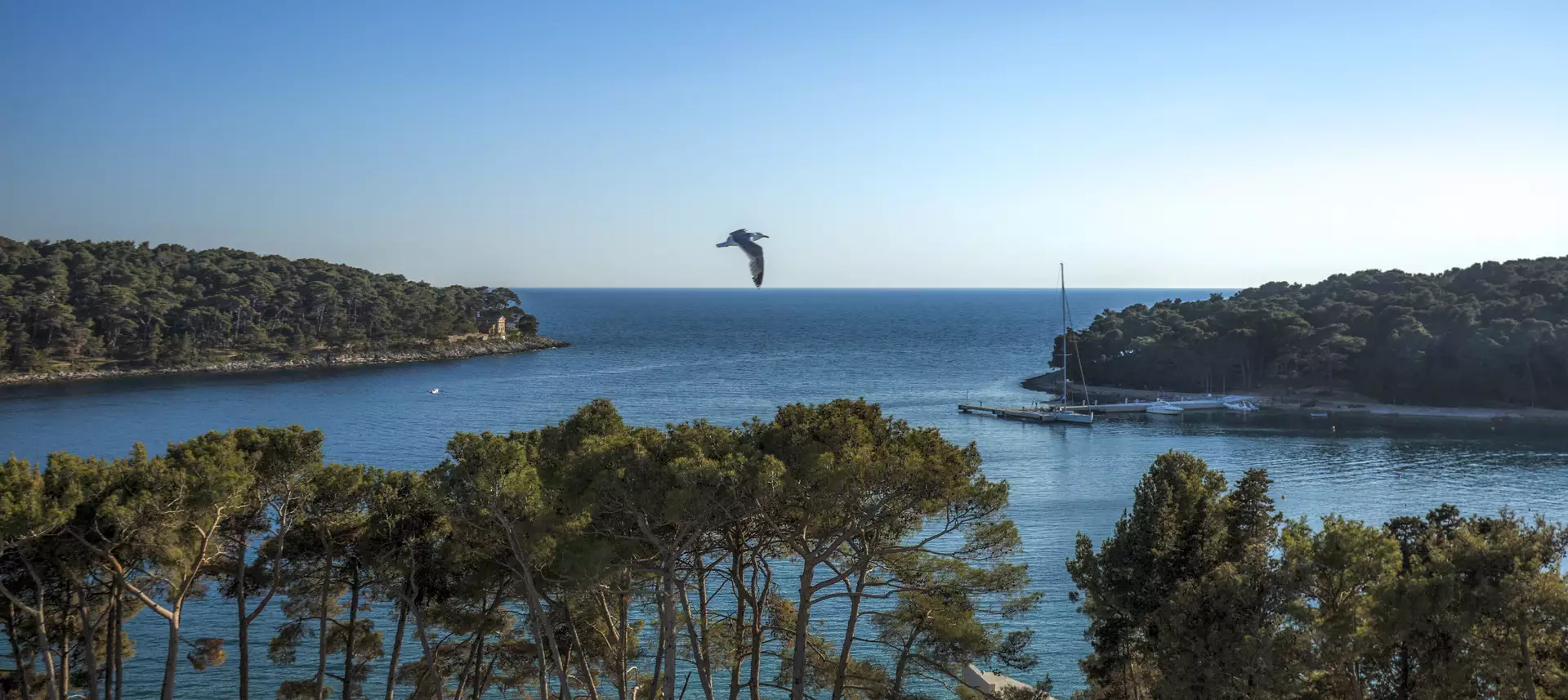 Villa Hortensia, Mali Losinj