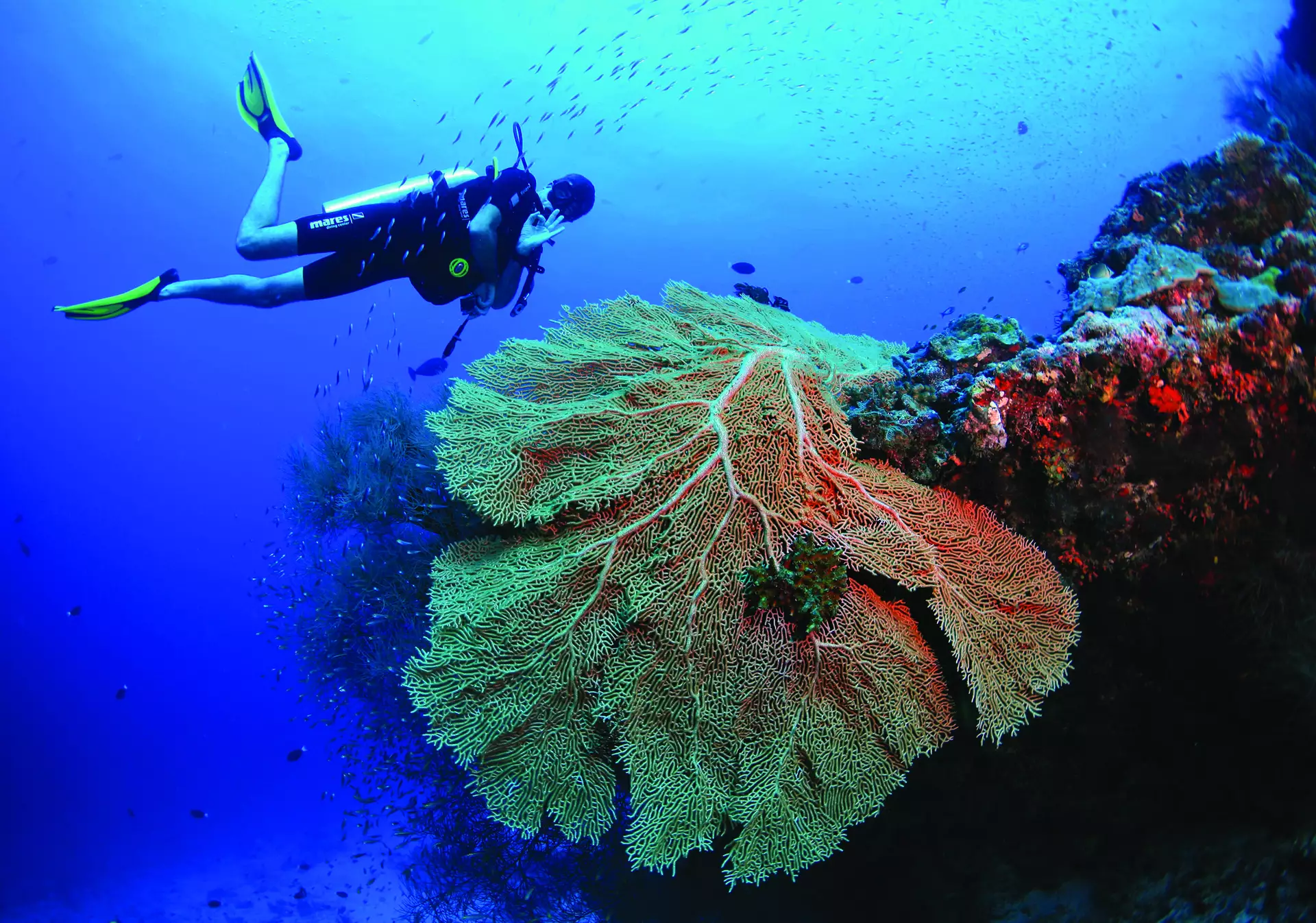 Amilla, Maldives