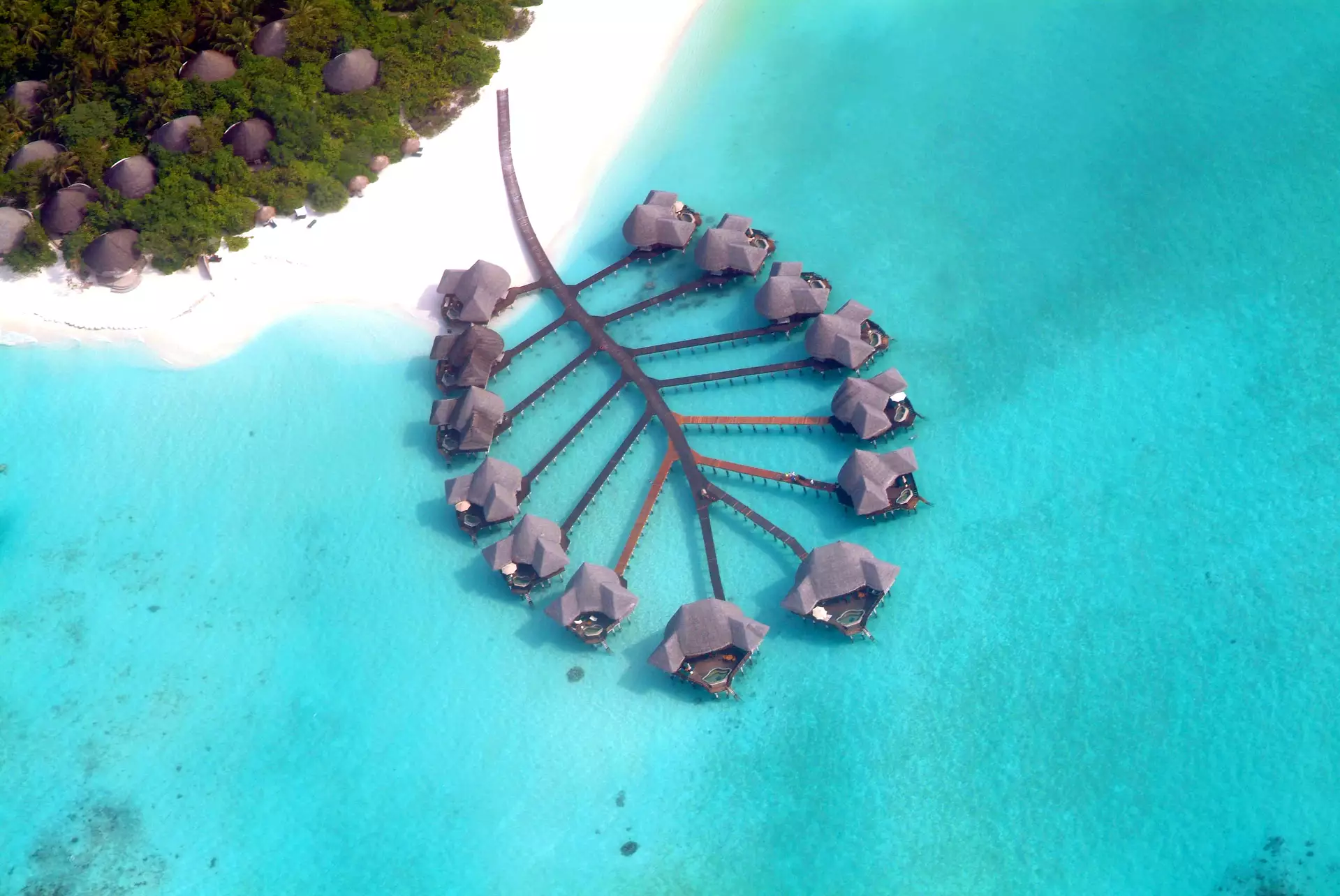 Coco Palm Dhuni Kolhu Maldives