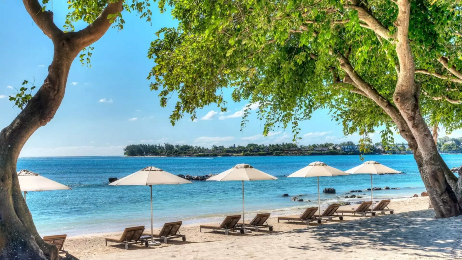 The Westin Turtle Bay Resort & Spa