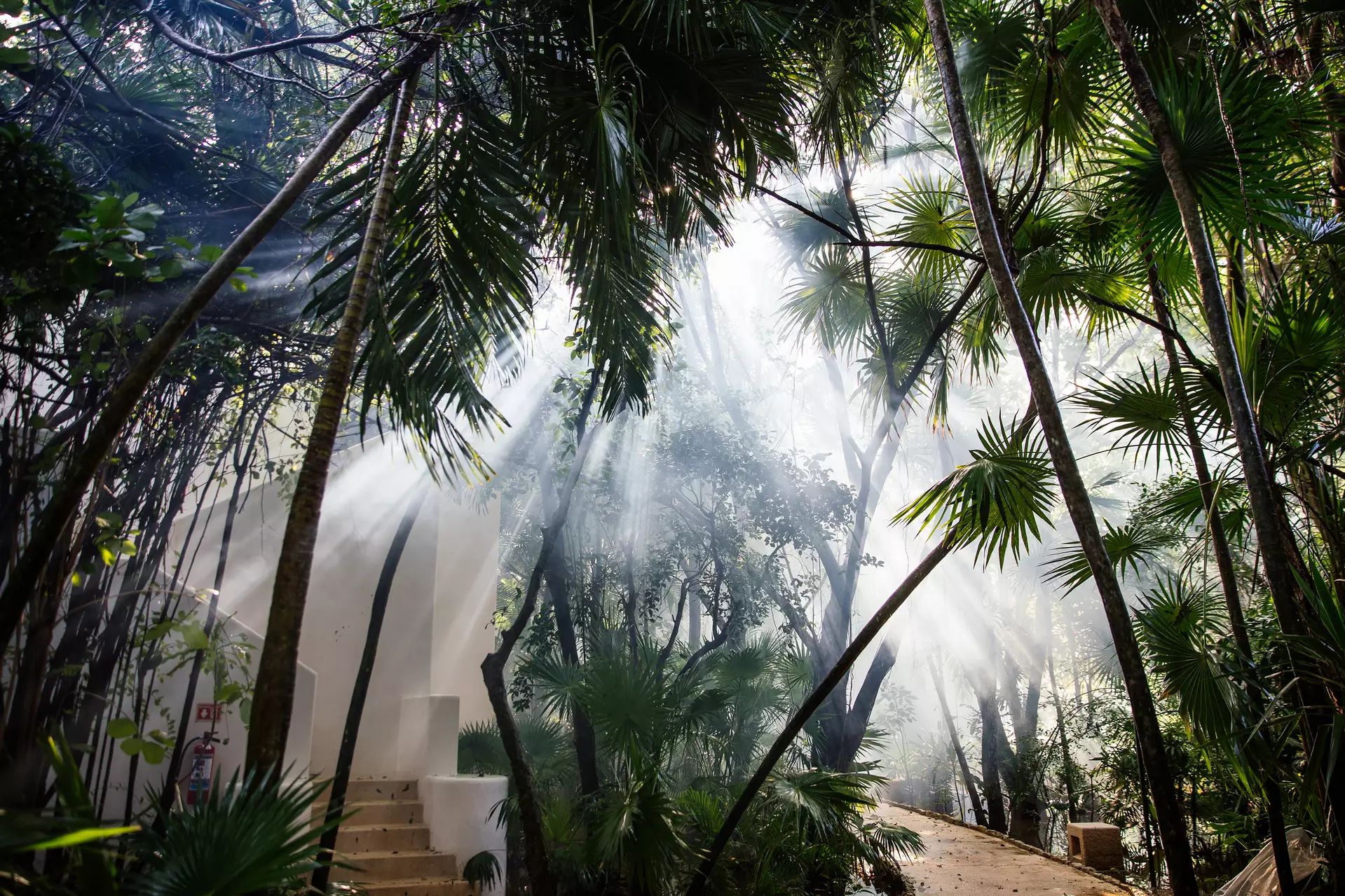Hotel Esencia