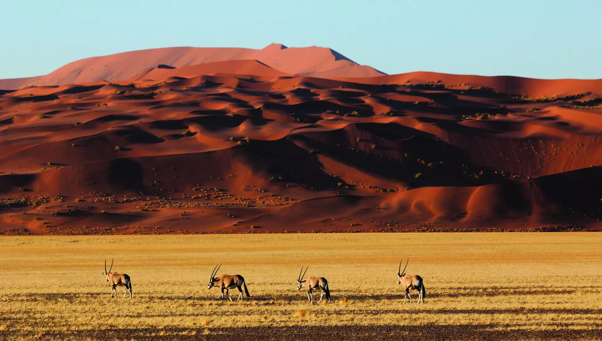 andBeyond Sossusvlei Desert Lodge
