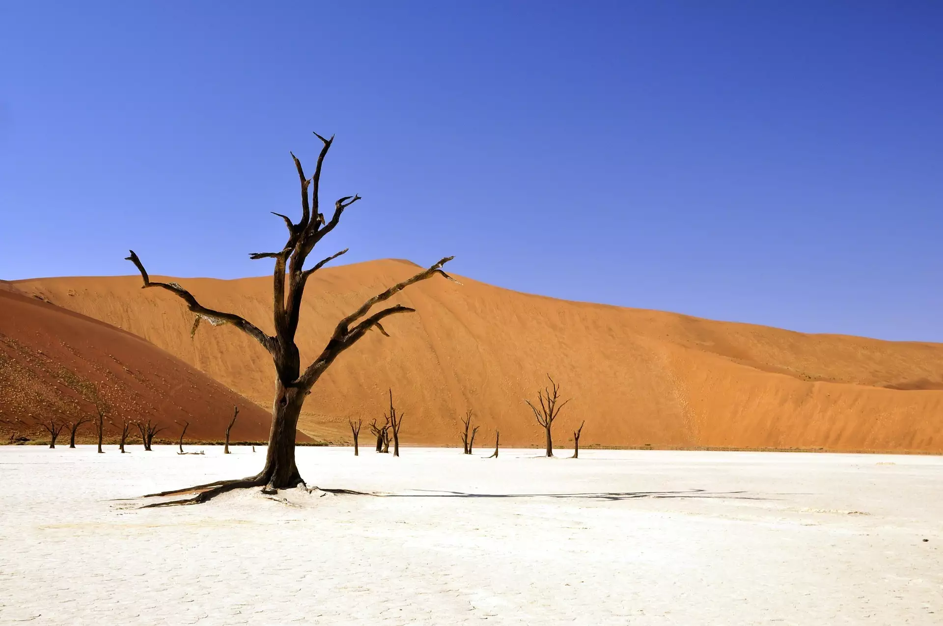 Leben in Afrika - Eine Rundreise durch Namibia