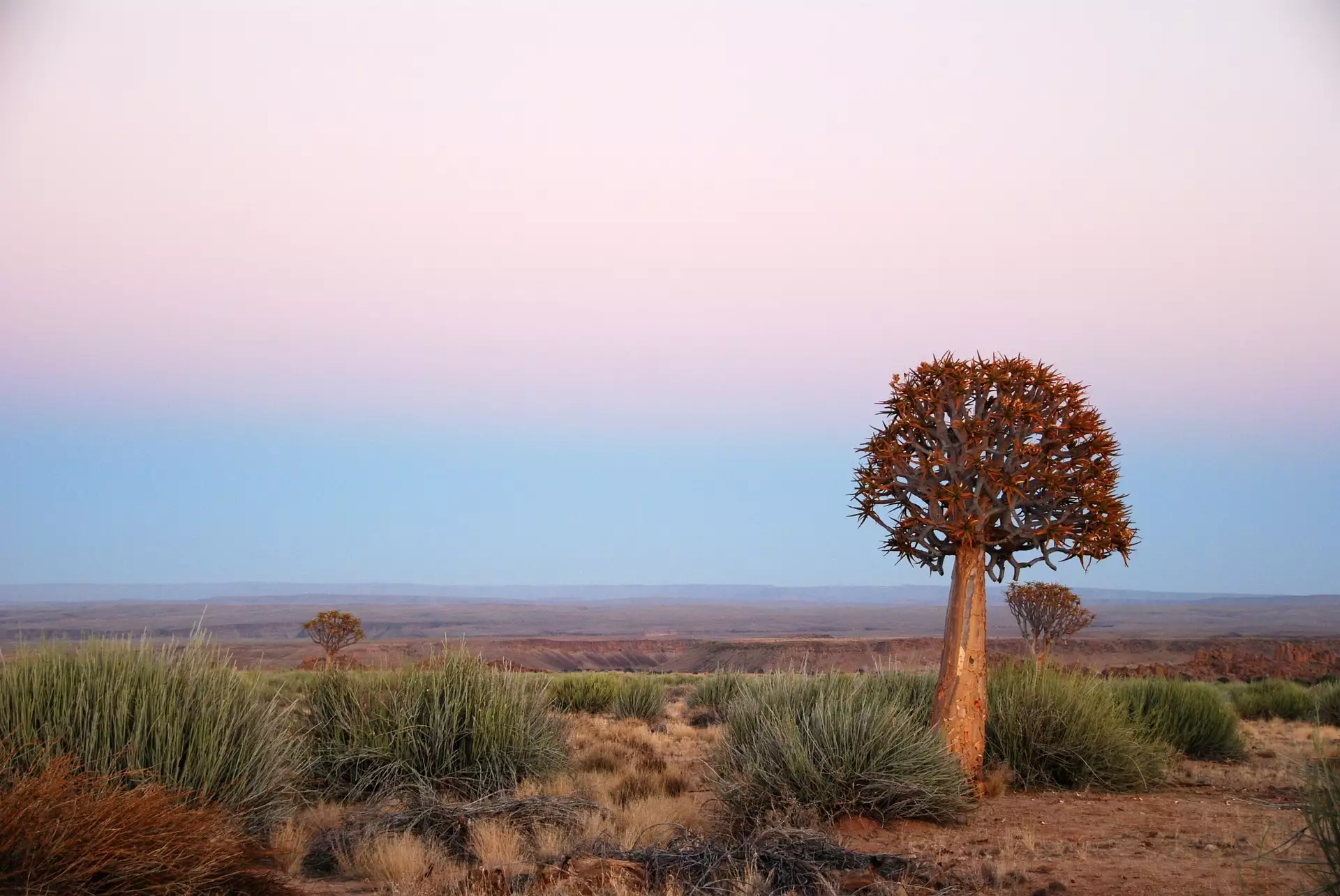Leben in Afrika - Eine Rundreise durch Namibia