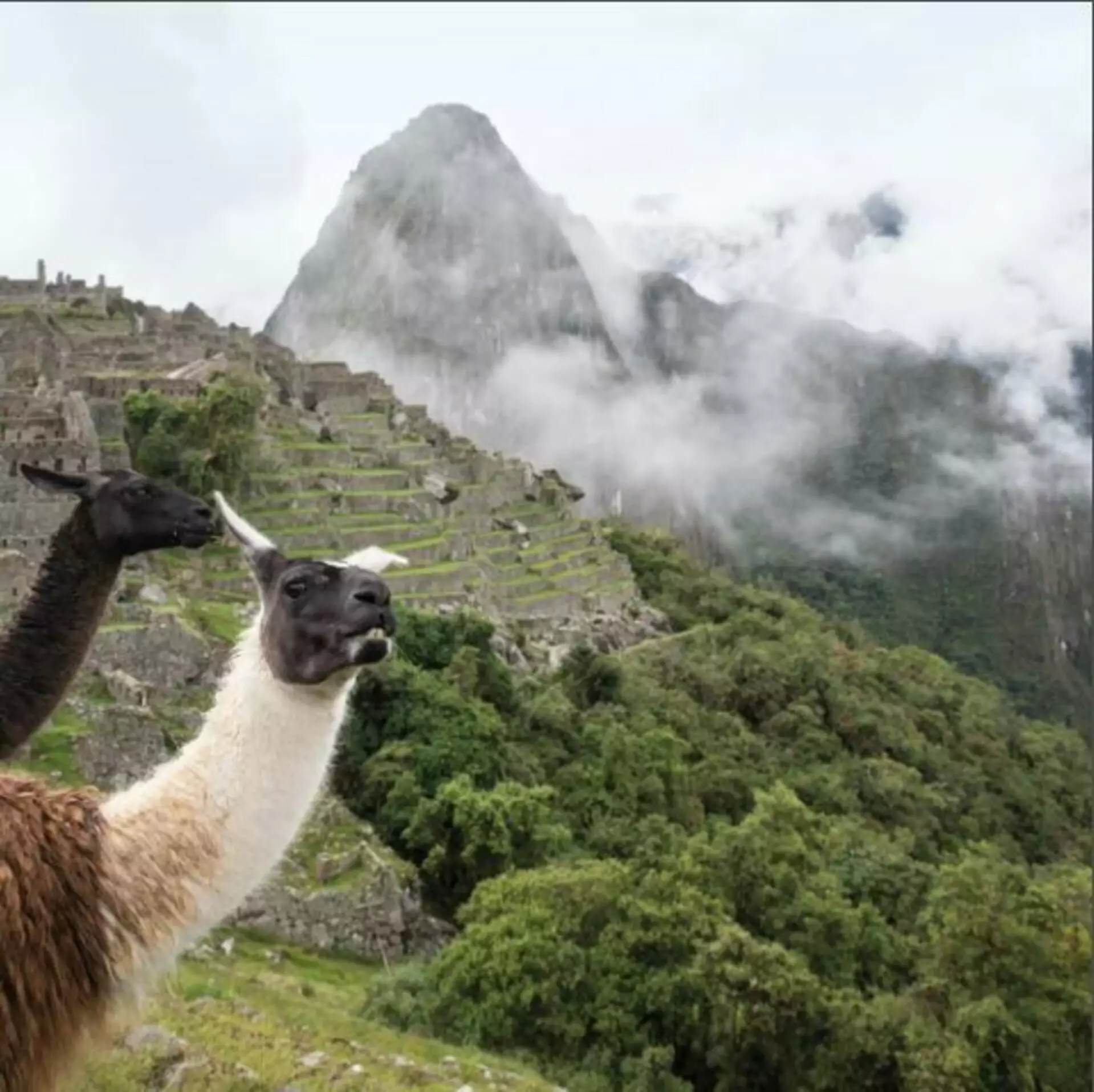 Sanctuary Lodge, A Belmond Hotel, Machu Picchu