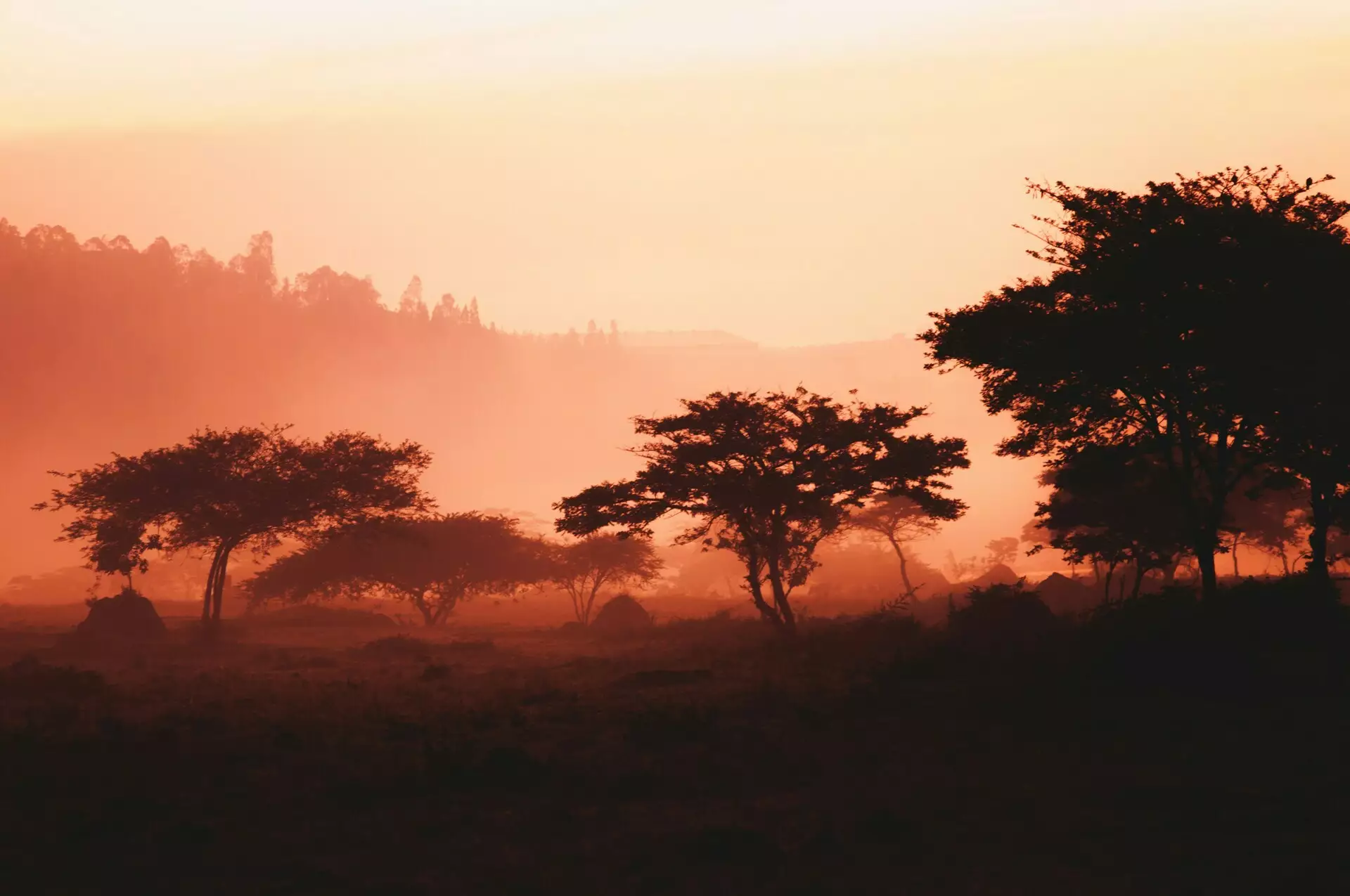 Wildnis und Wellen - Gorilla-Tracking in Ruanda und Badeparadies Sansibar