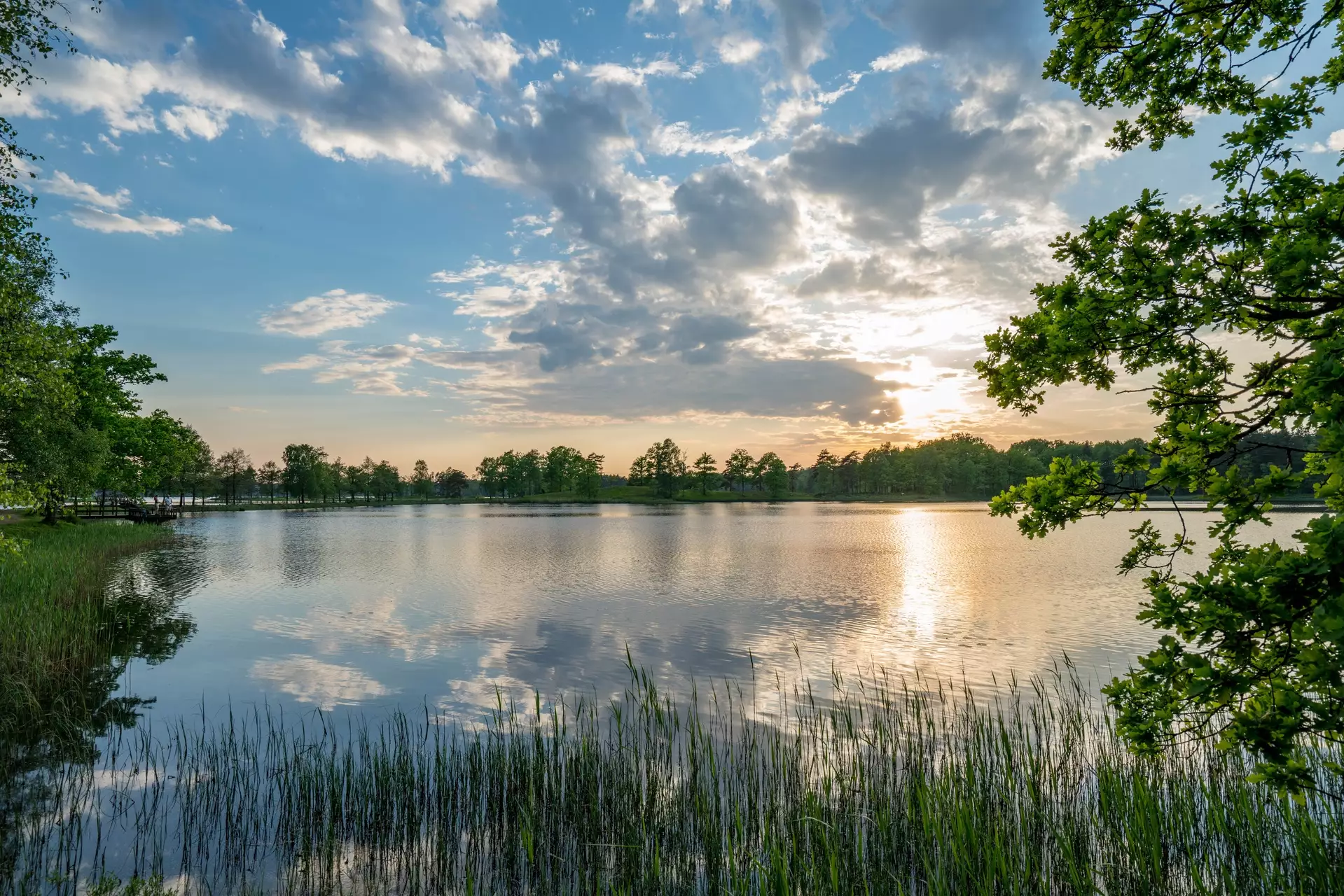 Accommodations & Travel Sweden