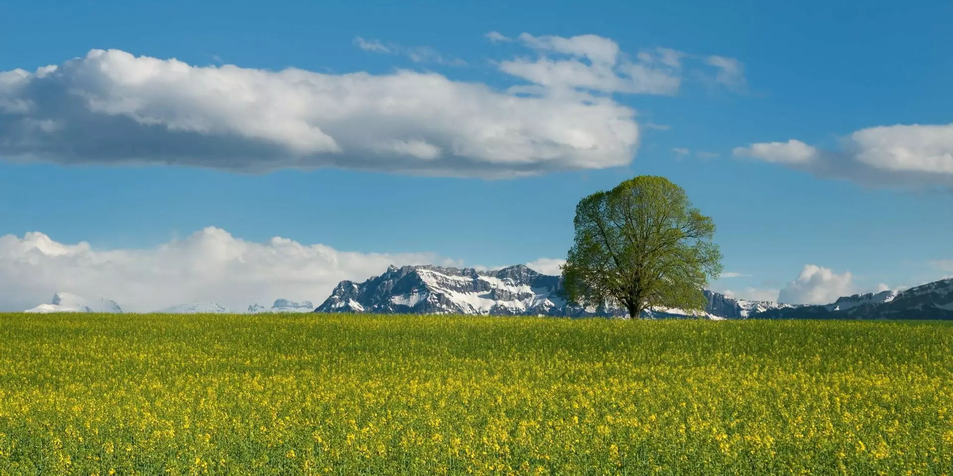 Accommodations & Travel Switzerland