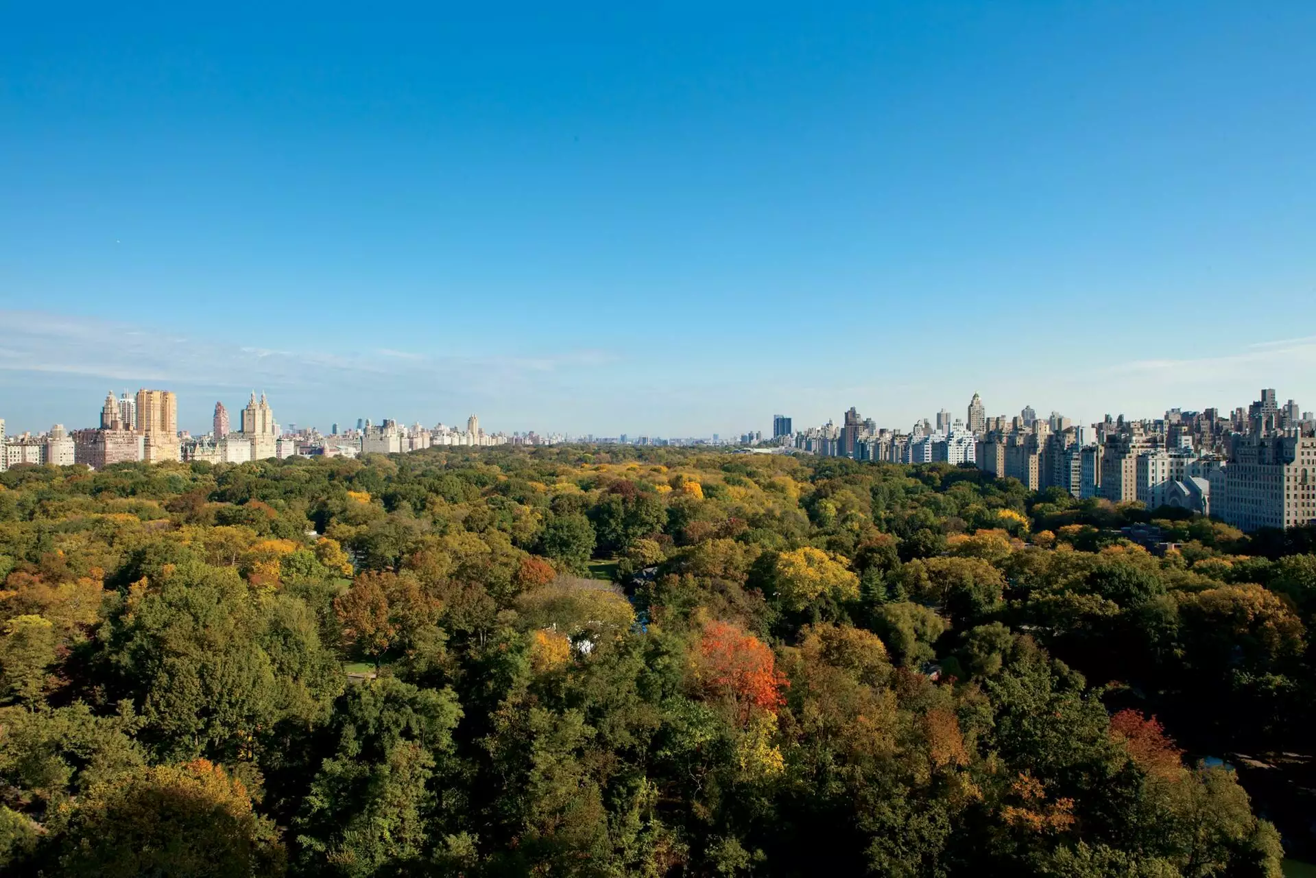 The Ritz-Carlton, Central Park