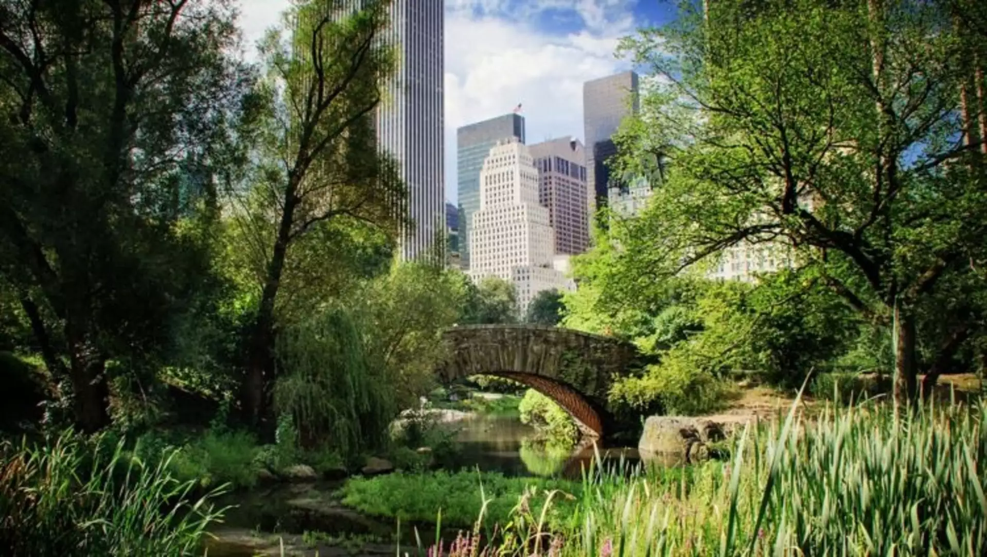 Le Méridien New York, Central Park